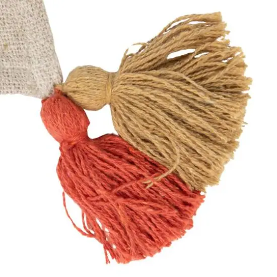 Hello Honey&reg; 60" Multicolor Striped Woven Throw with Tassels {6}