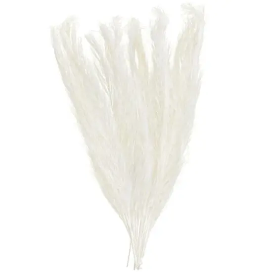 35" Natural Dried Palm Leaf Bundle with Feather-Inspired Stems White {1}