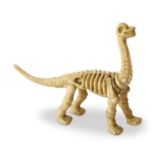 Dig It Up! - Dinosaur Skeletons {7}