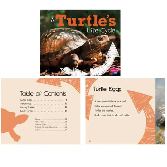 Pebble Plus Explore Life Cycles Set {7}