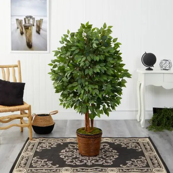 5ft. Super Deluxe Ficus Tree in Wicker Planter {4}