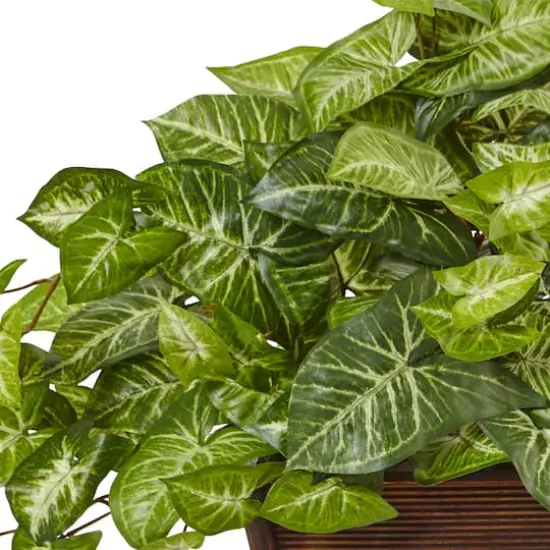 18.5" Arrowhead in Wood Planter {3}