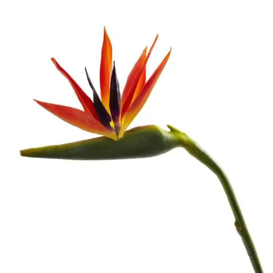 Large Artificial Bird of Paradise Stem, 4ct. {3}