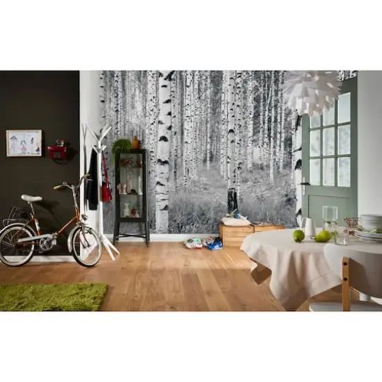 Komar Birch Forest Wall Mural {3}