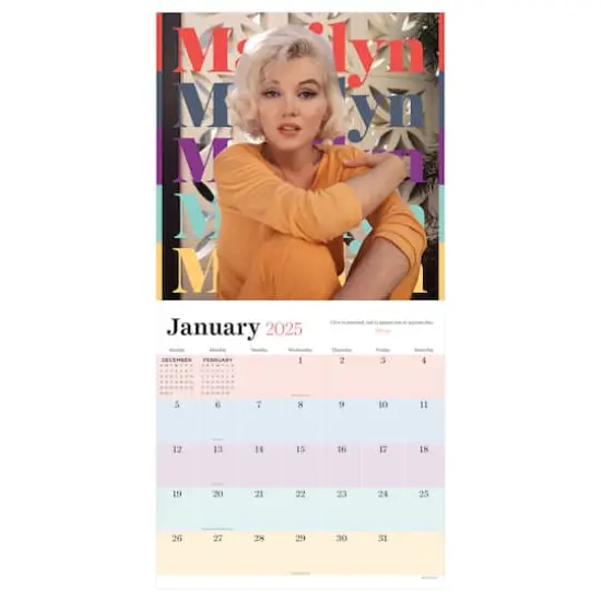 TF Publishing 2025 Marilyn Monroe Wall Calendar {4}