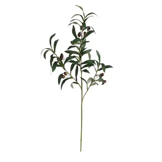 28" Olive Branch Stems, 3ct. {1}