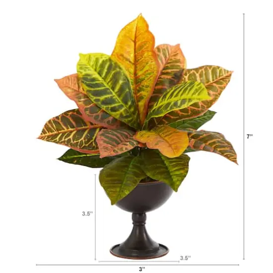 14" Garden Croton Plant in Metal Chalice {3}