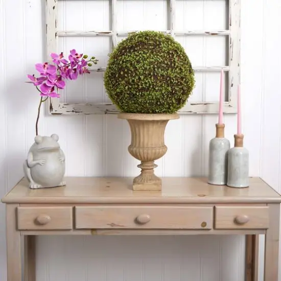 2.5ft. Mohlenbechia Ball in Black Tower Vase {9}