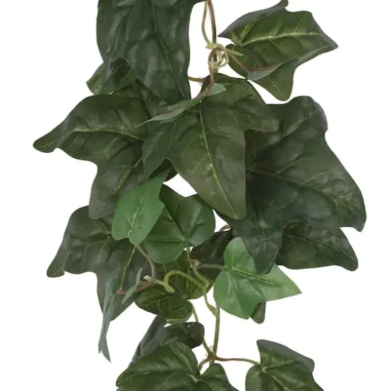6ft. Green English Ivy Garland by Ashland&reg; {3}