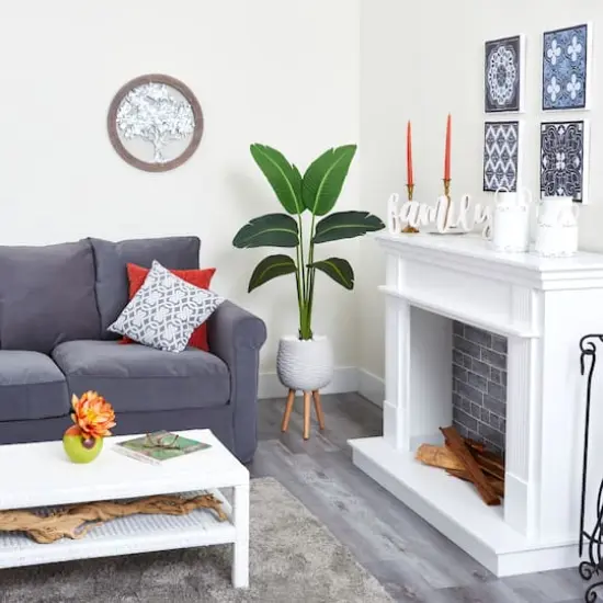 5ft. Travelers Palm Plant in White Planter with Stand {4}