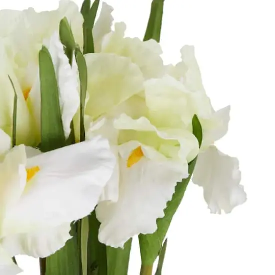 35" White Iris Artificial Flower Stem, 8ct. {5}