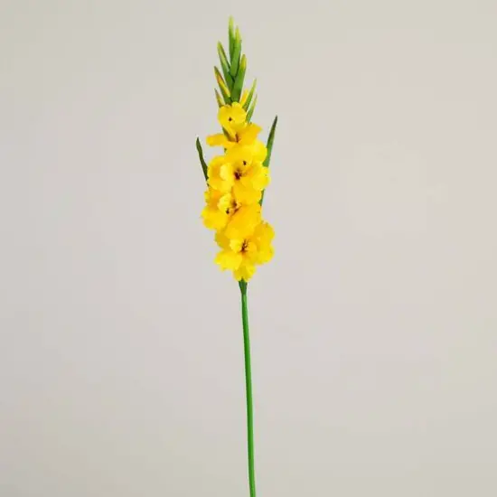 45" Yellow Gladiolus Flower Stems, 3ct. {9}