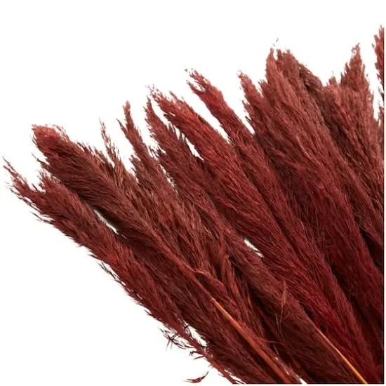 Dried Plant Bamboo Natural Foliage with Long Stems Red {6}