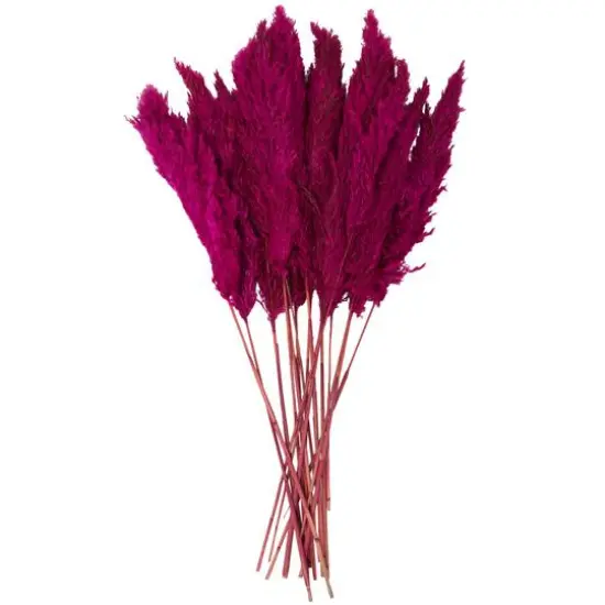 Dried Plant Pampas Natural Foliage with Long Stems Green {2}