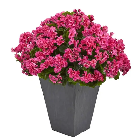 2.7ft. UV Resistant Pink Artificial Geranium in Slate Planter {1}