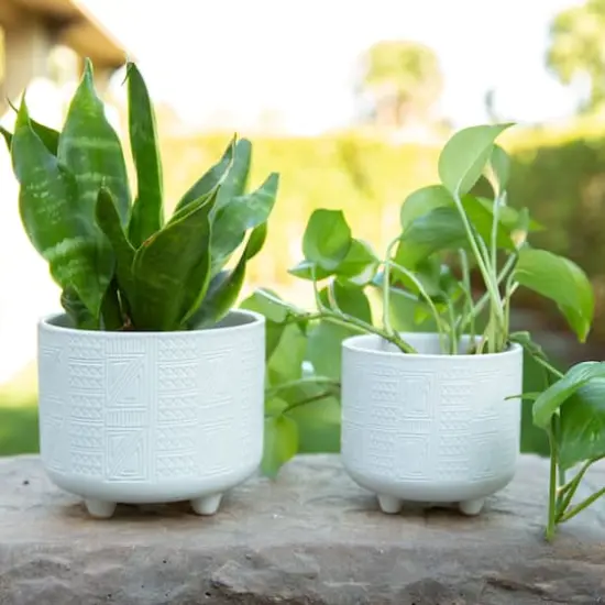 Flora Bunda&reg; Hiero Footed Planter Set {3}