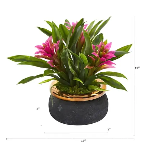 11" Bromeliad Plant in Stoneware Planter {3}