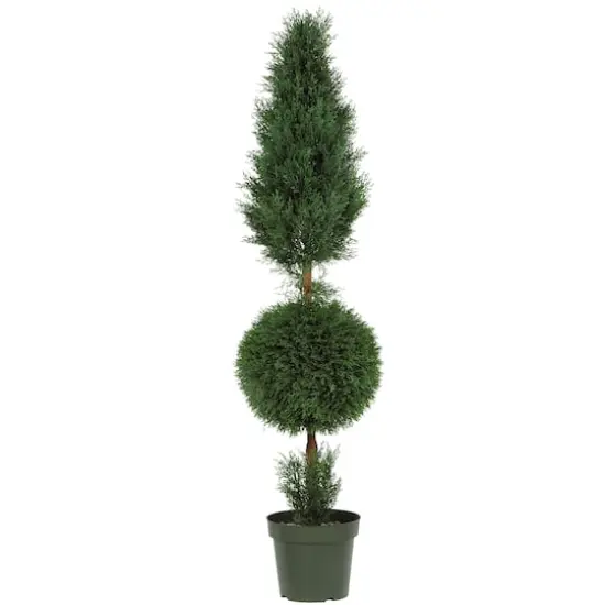 5ft. Potted Cypress Ball & Cone Tree {1}