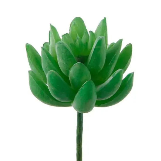 Flora Bunda&reg; Green Small Little Gem Succulent Pick, 12ct. {1}