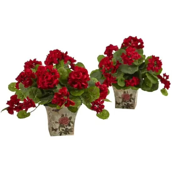 11" Geranium in Floral Planter, 2ct. {1}