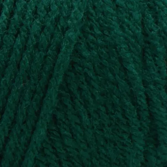 Red Heart&reg; Super Saver&reg; Solid Yarn Hunter Green {3}