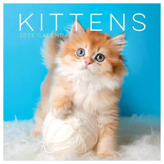 TF Publishing 2025 Kittens Wall Calendar {1}