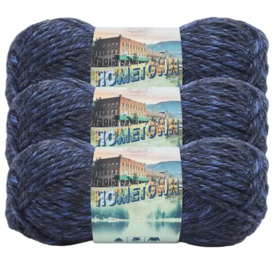 3 Pack Lion Brand&reg; Hometown Variegates Yarn Milwaukee Midnight {1}