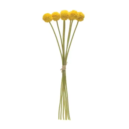 Yellow Pod Bundles, 6ct. {3}