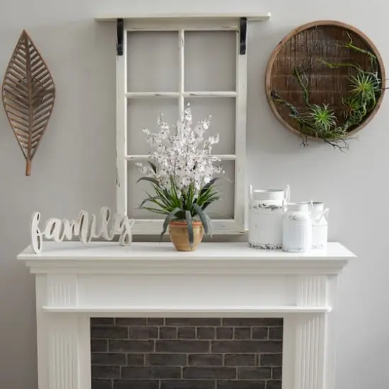 2ft. White Dancing Lady Orchid Arrangement in Ceramic Vase {5}