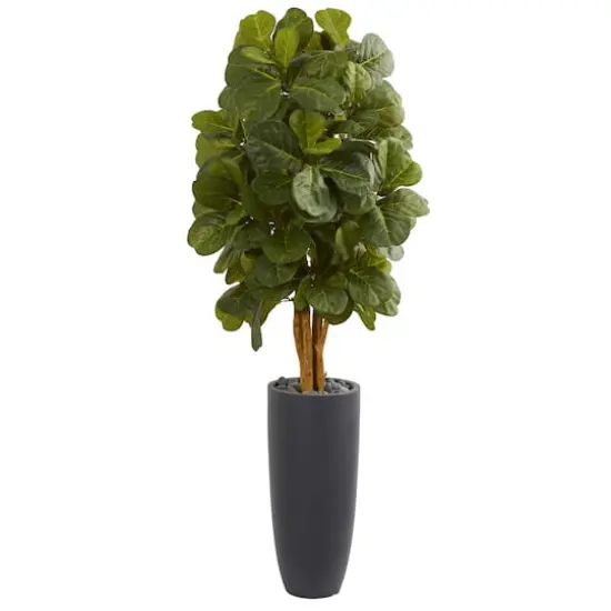 5.5ft. Fiddle Leaf Tree in Gray Cylinder Planter {1}
