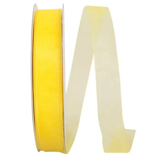 JAM Paper 7/8" x 100yd. Chiffon Mono Sheer Ribbon Watermelon {2}