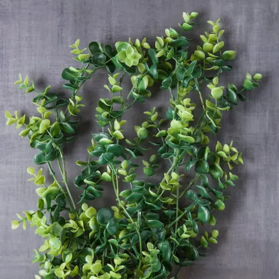 Green Hanging Eucalyptus Bush by Ashland&reg; {3}