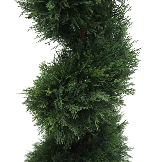 5ft. Potted Green Cedar Spiral Tree {4}