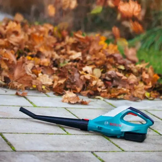 Theo Klein Bosch Leaf Blower Toy {3}
