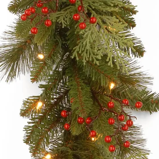 9ft. Clear Lights Mixed Evergreen Classical Collection Garland {3}