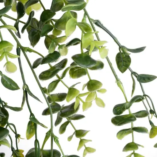 Green Hanging Eucalyptus Bush by Ashland&reg; {4}