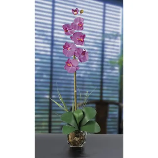 2.3ft. Fuchsia Orchid Arrangement with Vase {3}