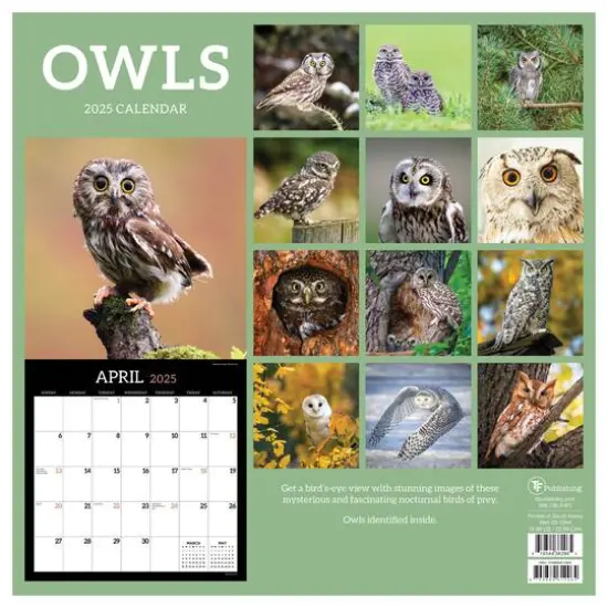 TF Publishing 2025 Owls Wall Calendar {3}