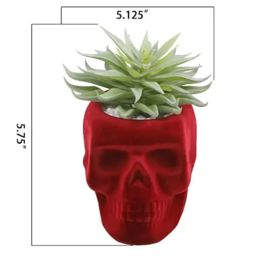 Flora Bunda&reg; Succulent in Burgundy Flocked Ceramic Skull {3}