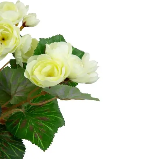 11" Cream Potted Silk Begonia Floral Arrangement {5}