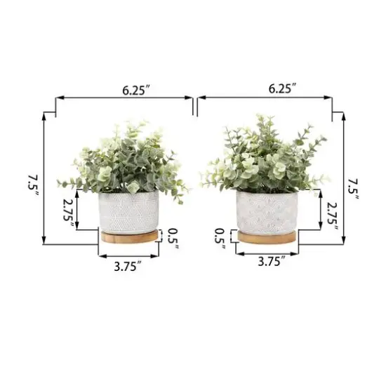Flora Bunda&reg; 7.5" Eucalyptus & Tea Leaf Plant in Cement Pot with Wood Base, 2ct. {3}