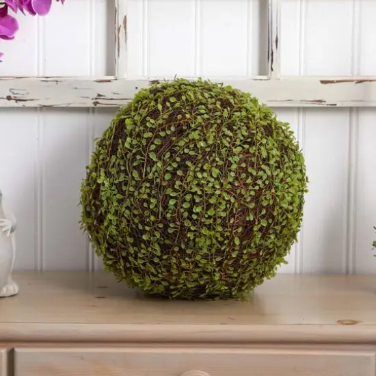 2.5ft. Mohlenbechia Ball in Black Tower Vase {7}