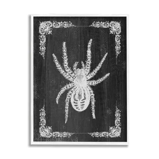 Stupell Industries Black & White Spider Framed Giclee Art {1}