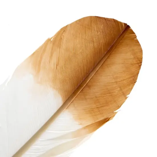 John Bead 12" White & Brown Imitation Eagle Feathers, 18ct. {4}