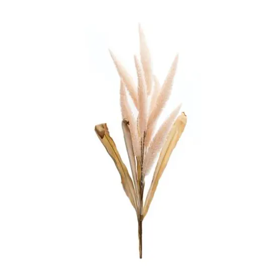 35.5" Pink Foxtail Plume Stems, 2ct. {1}