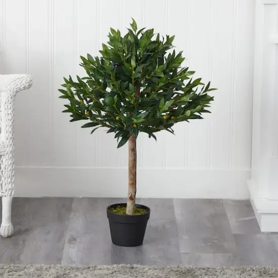 3ft. Potted Olive Topiary Tree {5}