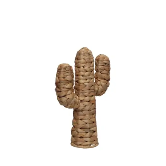 11.75" Water Hyacinth Cactus Tabletop D&eacute;cor by Ashland&reg; {4}