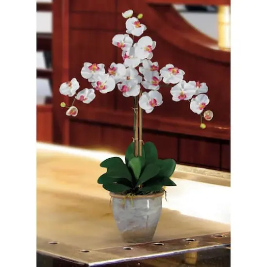 Triple Phalaenopsis Orchid Flower Arrangement In Ceramic Vase White {3}