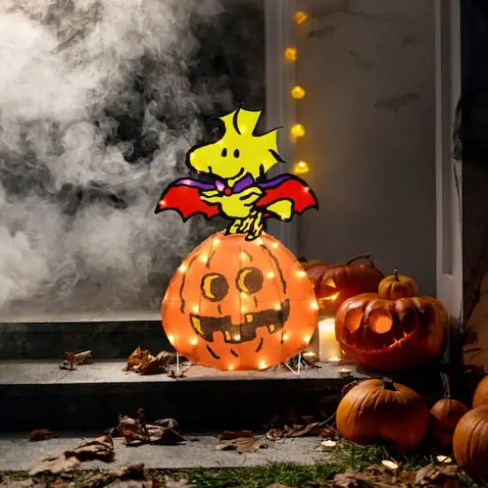 24" LED Peanuts Woodstock Vampire Yard Art {5}