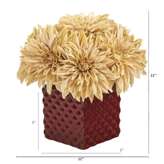 11" Cream Dahlia Arrangement in Red Ceramic Cube {3}